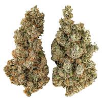 Highly Dutch - Organic Butter Cookies x Organic NYC Juggernaut