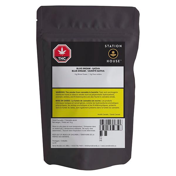 Station House - Blue Dream image 2