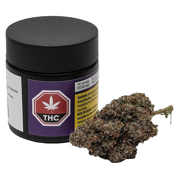 Your Dealer - Not The GovernMINT image 4