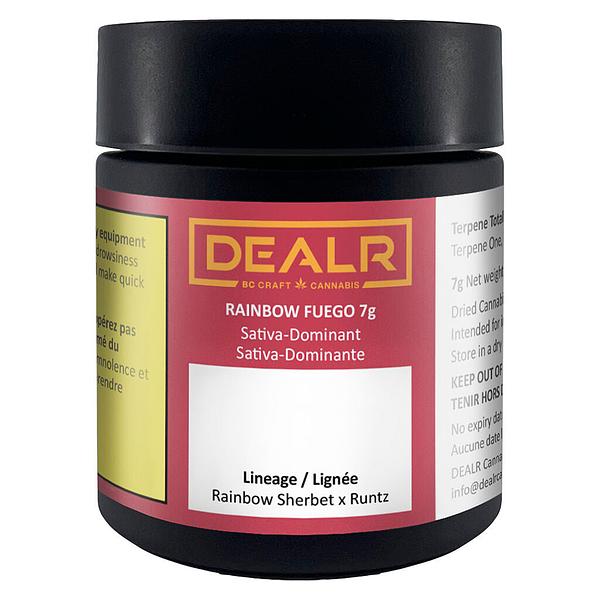 DEALR - Rainbow Fuego image 2