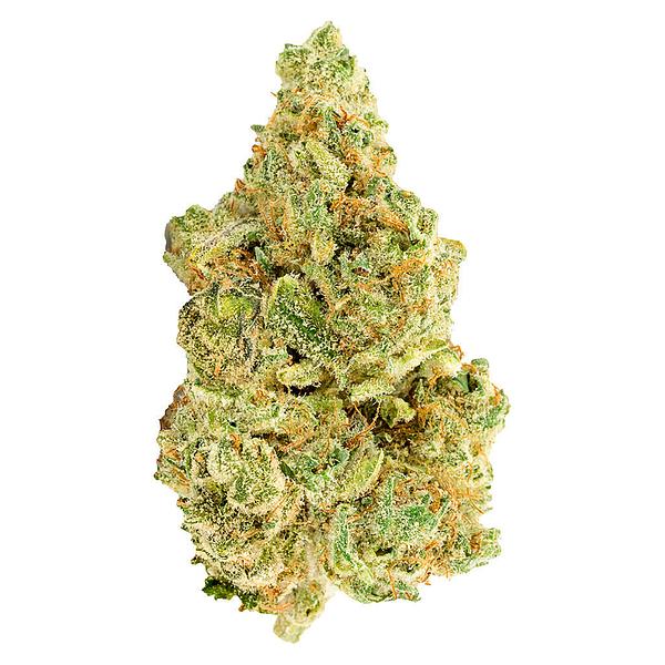 Versus - White Widow image 1