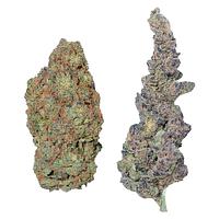 Purple Hills - Purple Hills Presents