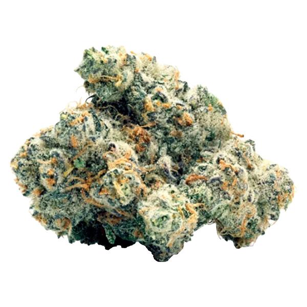 Toasted - Wifi Widow OG image 1