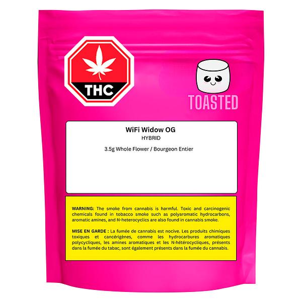 Toasted - Wifi Widow OG image 2