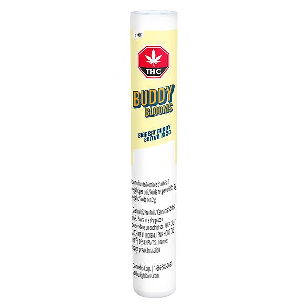Buddy Blooms - Biggest Buddy Sativa Pre Roll image 2