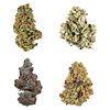 Potluck - Canada Collection Variety Ounce thumbnail 1
