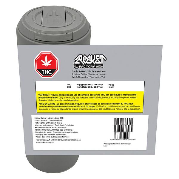 Rocket Factory - Exotic Matter image 3