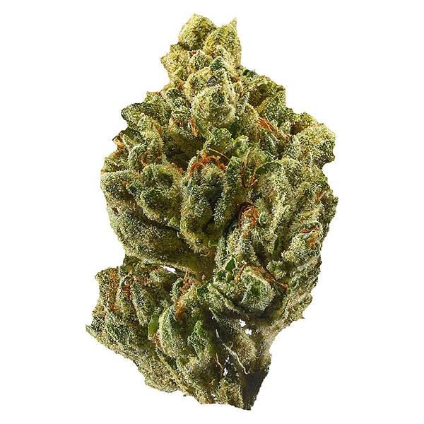 AMBR - OG Kush image 1