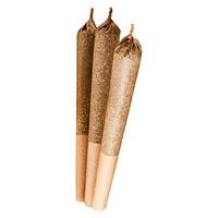 Versus - Girl Scout Cookies Pre Roll