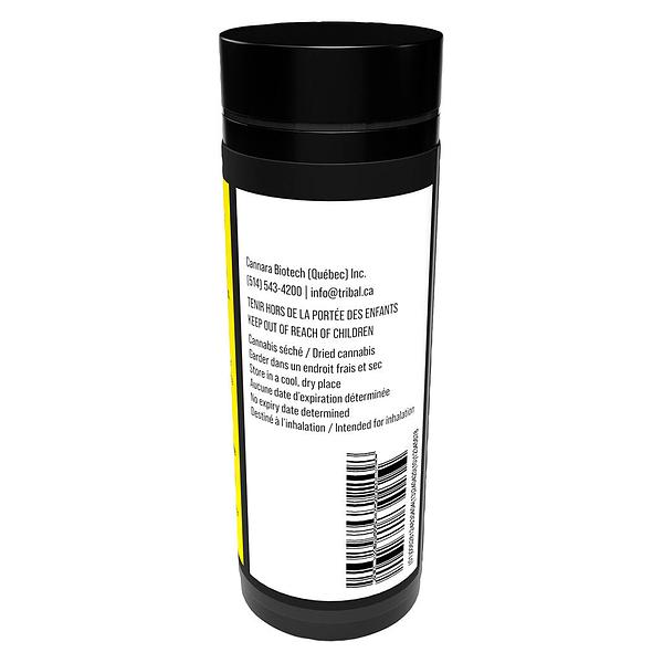 Tribal - Bubble Up Pre Roll image 3