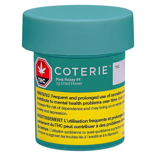 Coterie - Pink Rose #4 image 2