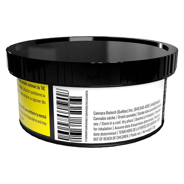 Tribal - Neon Sunshine Hybrid image 3