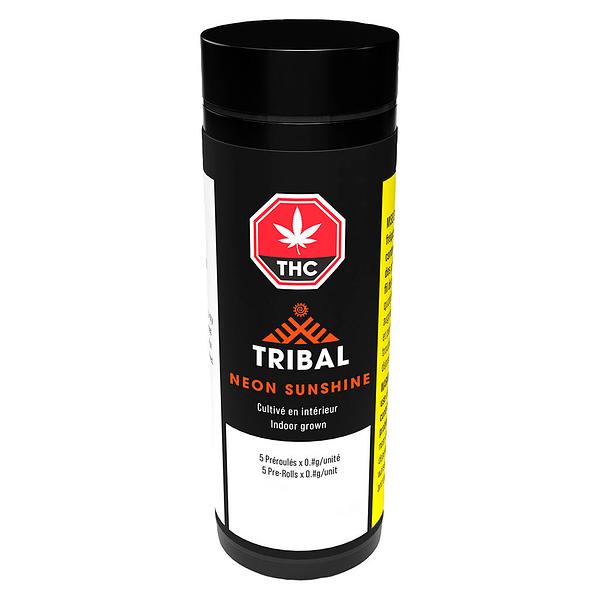 Tribal - Neon Sunshine Pre Roll image 2