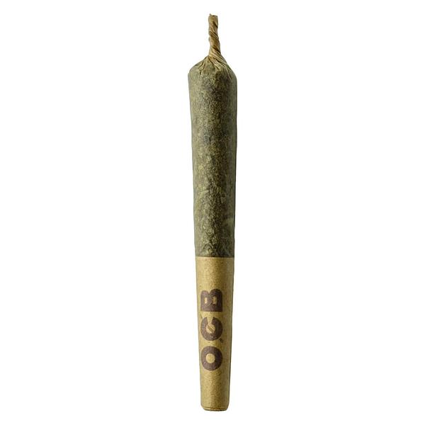Sheeesh! - Jungle Kush Pre Roll image 1