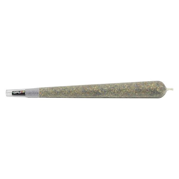 1Spliff Reserve - Javelin Premium Glass Tip Pre-Roll image 1