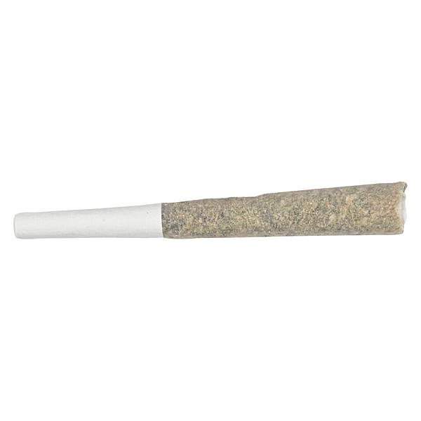 Soul Rebel - The Point Five Pre Roll image 1