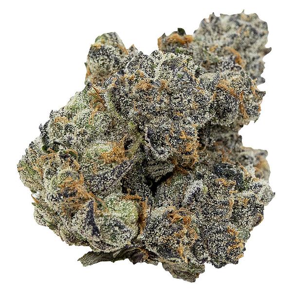 Pistol and Paris - Pink Death image 1