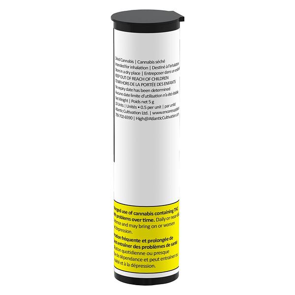 Encore - Indica Greatest Hits Vol. 1 Pre-Roll image 3