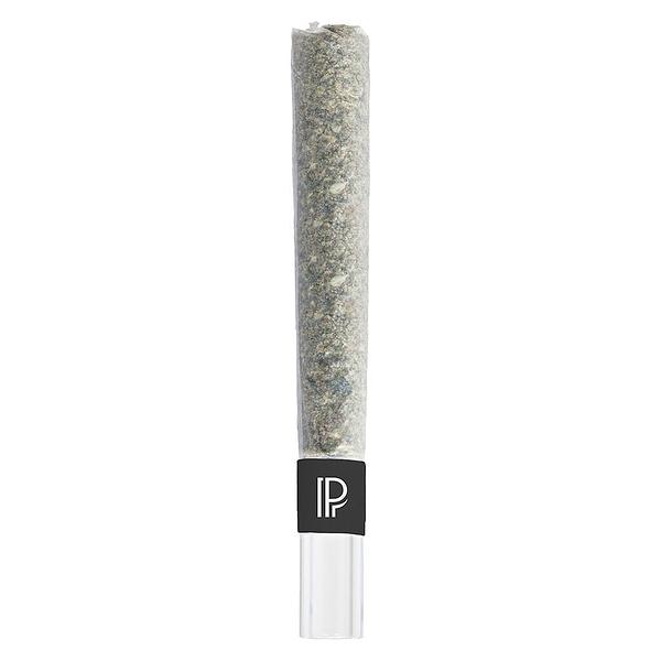 Pistol and Paris - Bubble Hash Infused Pre-Roll image 1
