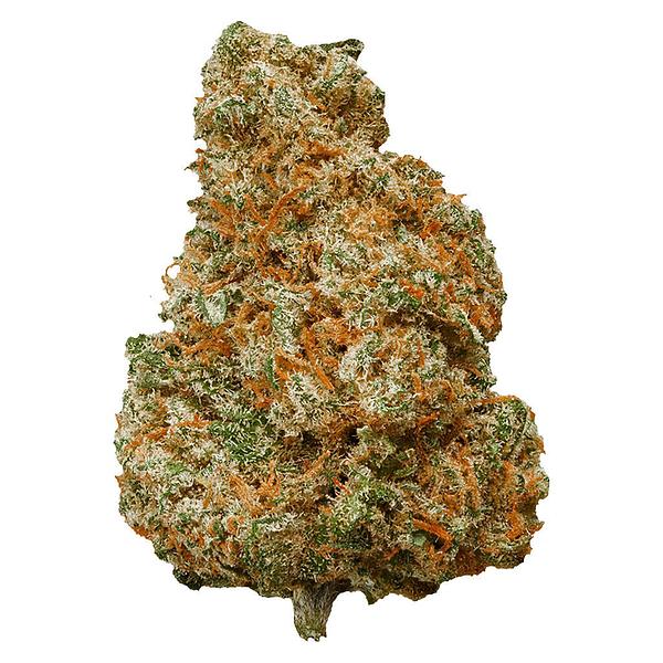 Potluck - Mango Dream image 1