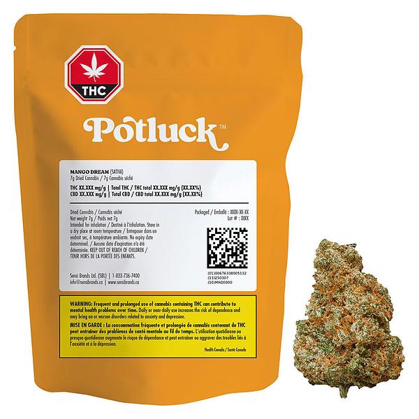 Potluck - Mango Dream image 4