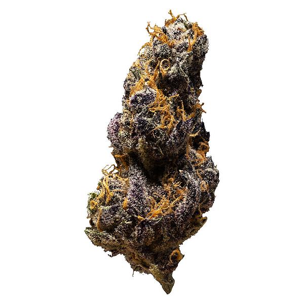 3rd Coast Genetics - Black Cheese image 1