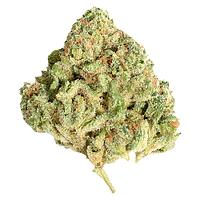 Potluck - Sugar Shack