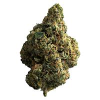 The Republic - Republic Reserve 25%+ Indica