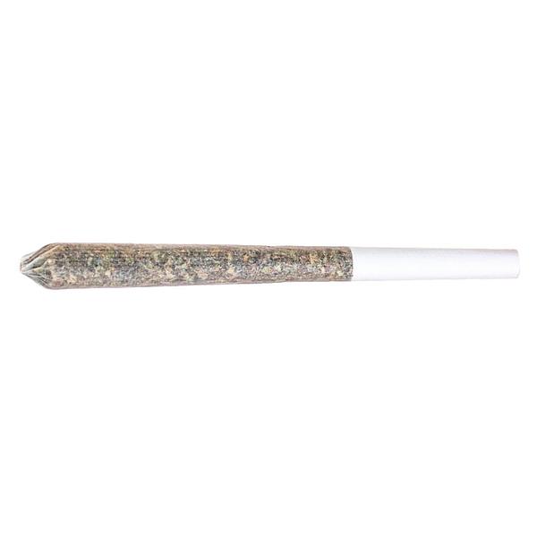 Station House - Blue Dream Pre Roll image 2