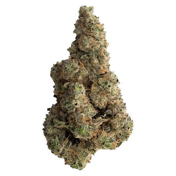 The Loud Plug - With Love from Scarborough - Craft Collective image 1