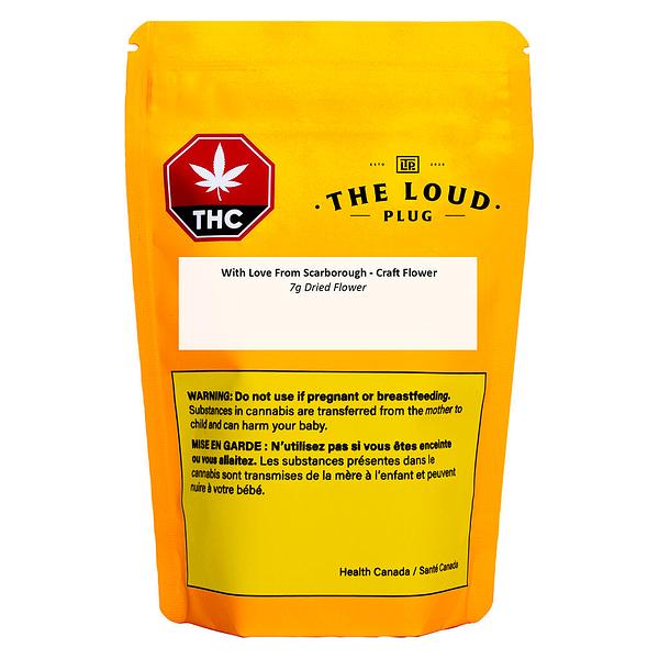 The Loud Plug - With Love from Scarborough - Craft Collective image 2