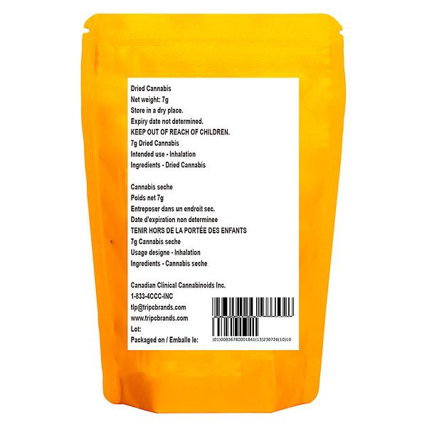 The Loud Plug - With Love from Scarborough - Craft Collective image 3