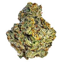 Cannabis Cartel Quads - Motorbreath 15