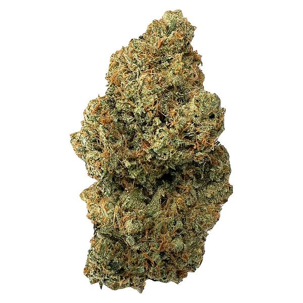 Clem & Co. - Apricot Cream & Cheese 1:1 image 1