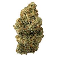 Clem & Co. - Apricot Cream & Cheese 1:1