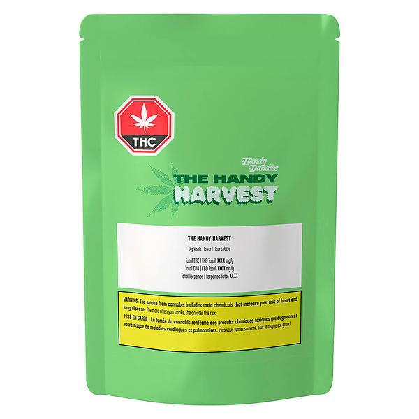 Handy Dandies - Itsy Bitsy Tipsy Whole Flower image 2