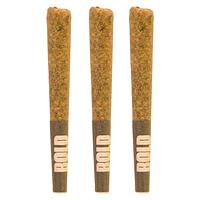 BOLD - Orange Crush Pre-Roll