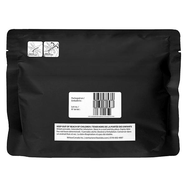 Starting Point! - Frenchy Macaroni image 3