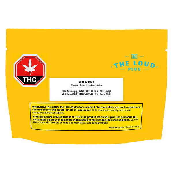 The Loud Plug - La Pop Star image 2