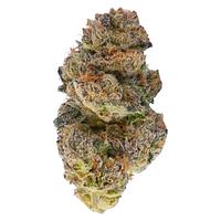 TADU - Black Gorilla