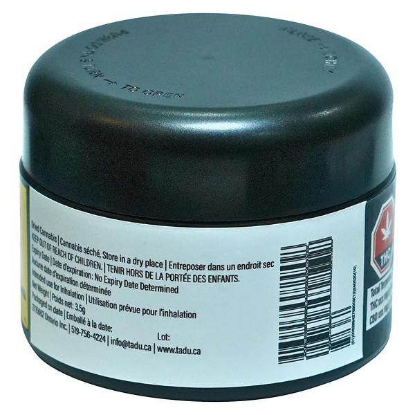 TADU - Black Gorilla image 3