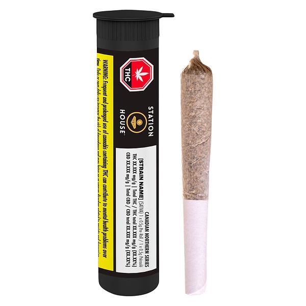 Station House - Canadian Northern Series Pre-Roll image 4