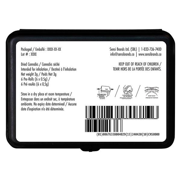 Station House - Canadian Northern Series Pre-Roll image 7