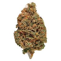 Bud Lafleur - Citroli