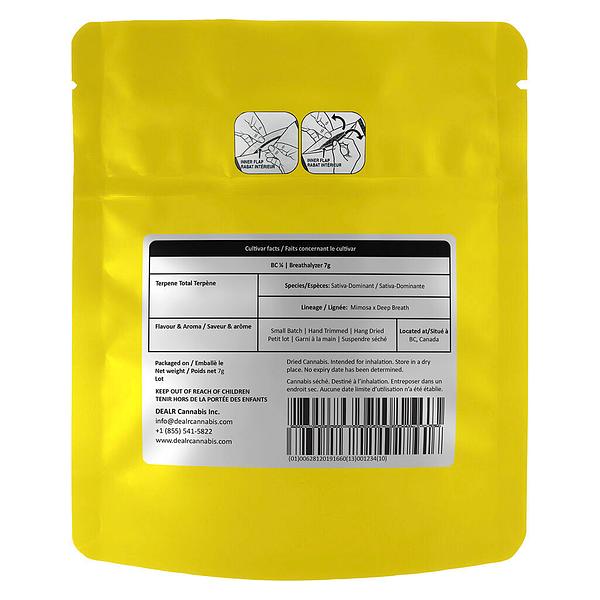 BC 1/4 - Breathalyzer image 3