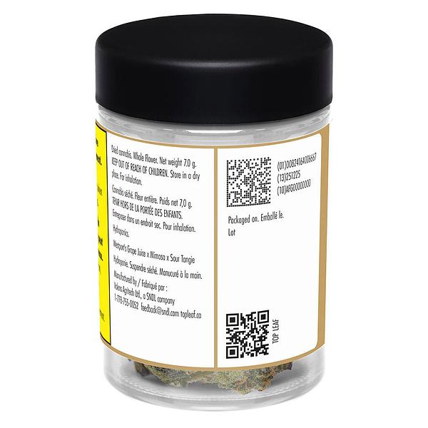 Top Leaf - Nakatomi Plaza image 3