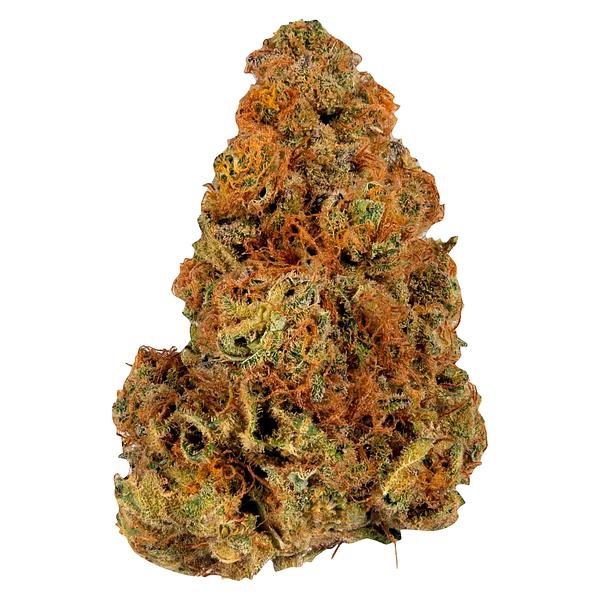 Ripped - Ripped Indica (Rotational) image 1