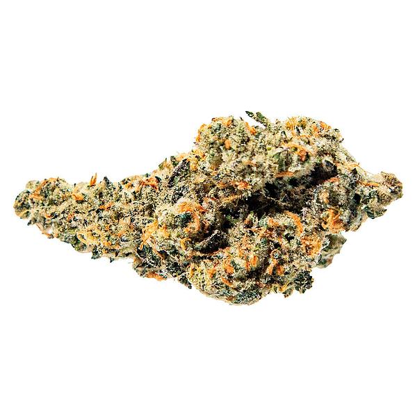 True Fire - Tropical Meltdown image 1