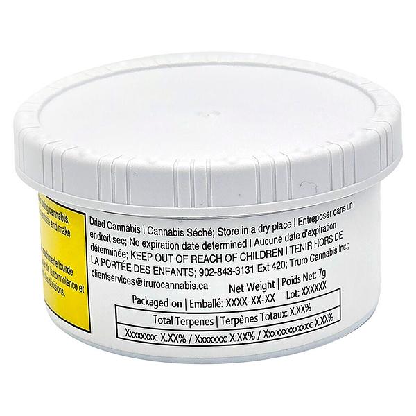 Truro - Bluenose Berry image 3