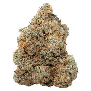 The Loud Plug - Exotic Gas